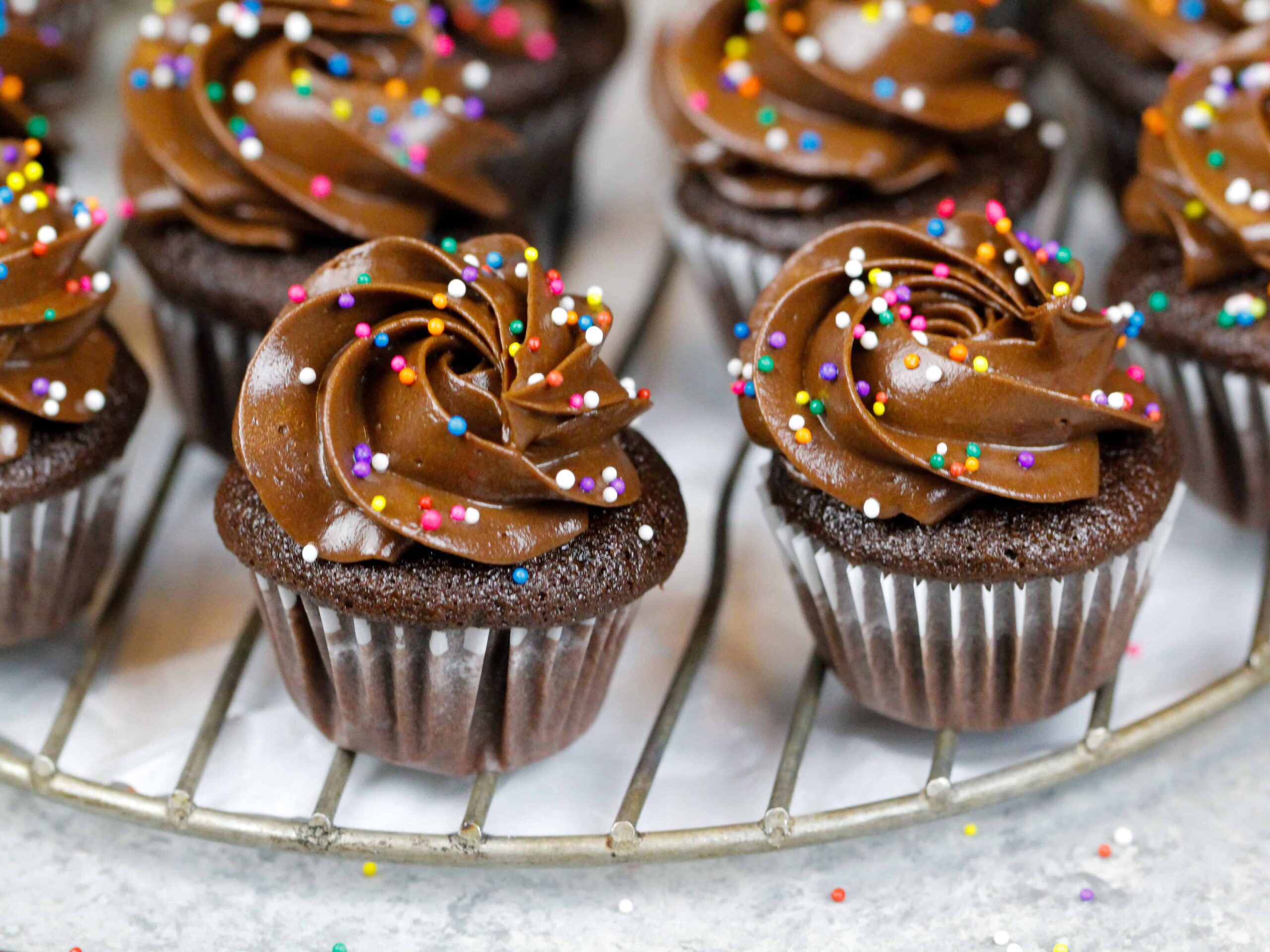 image of mini chocolate cupcakes that have been decorated with dark chocolate frosting and rainbow sprinkles