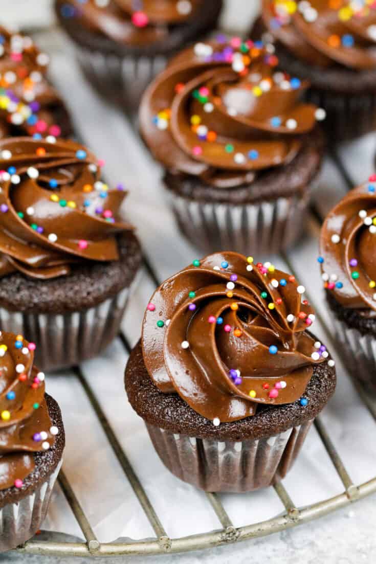 image of mini chocolate cupcakes frosted with a chocolate buttercream and topped with nonpareil sprinkles